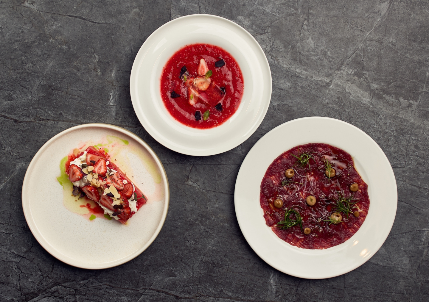 Лес и Степь