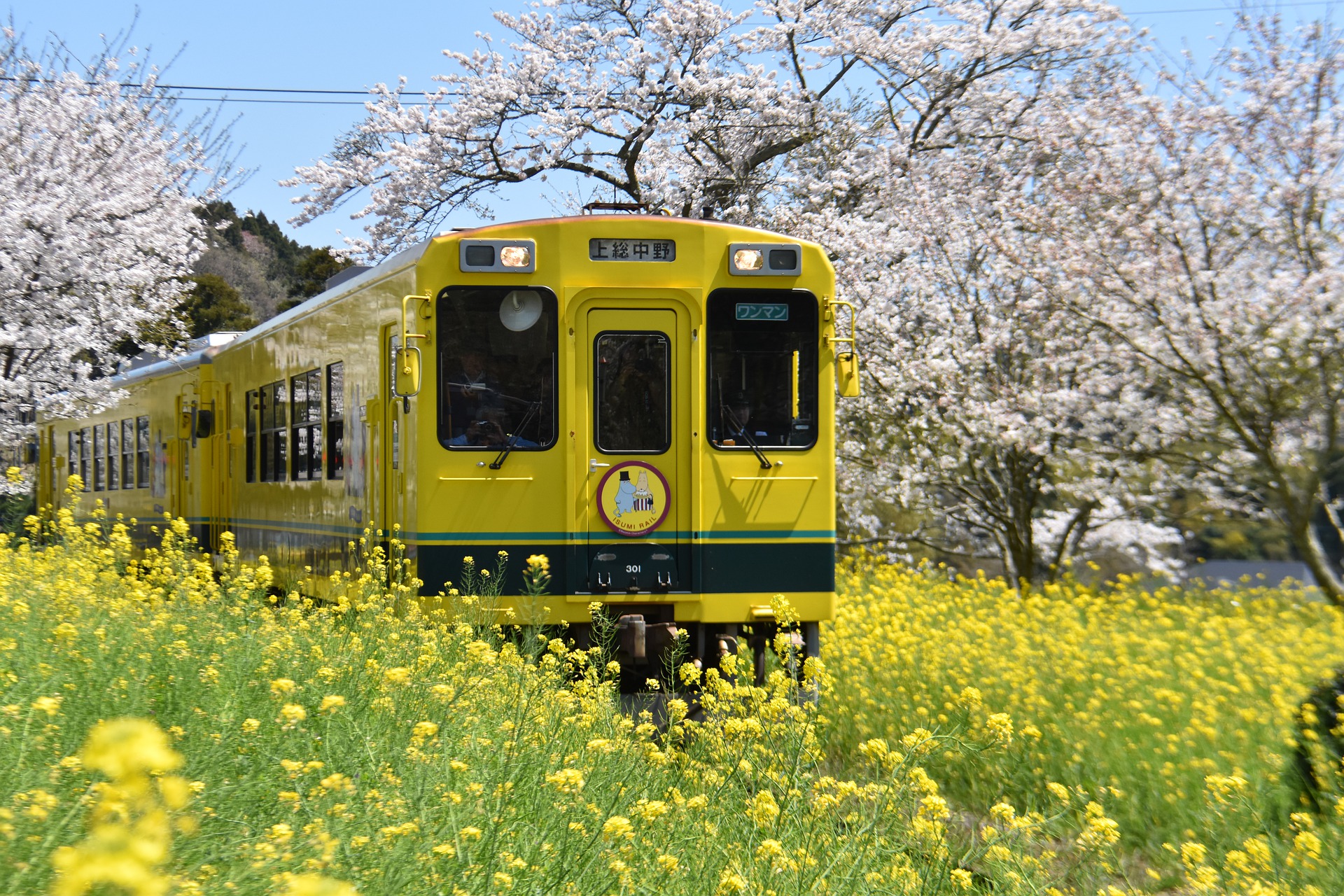 spring_japan-4863831_1920.jpg