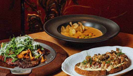 Лисички в Питере. Самый полный гид. Часть II