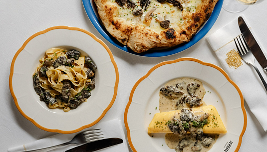 Петербург. Сморчки прилетели